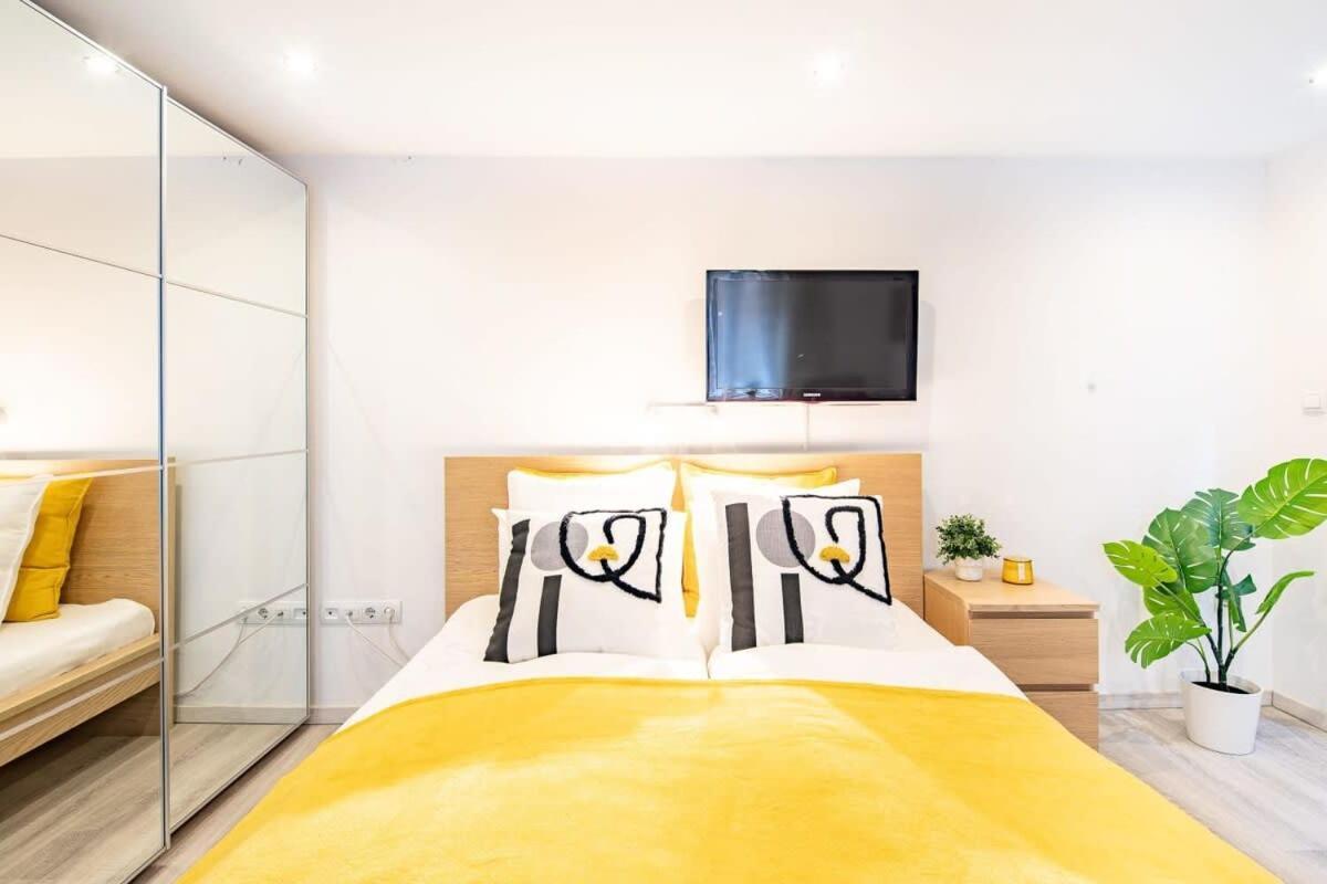 Apartamento - Large - Comfy *