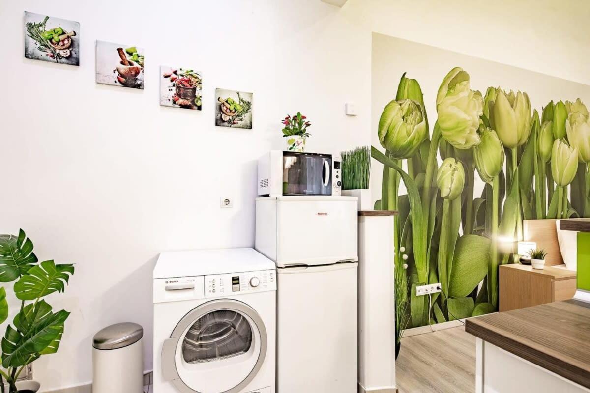 Apartment - Large - Comfy